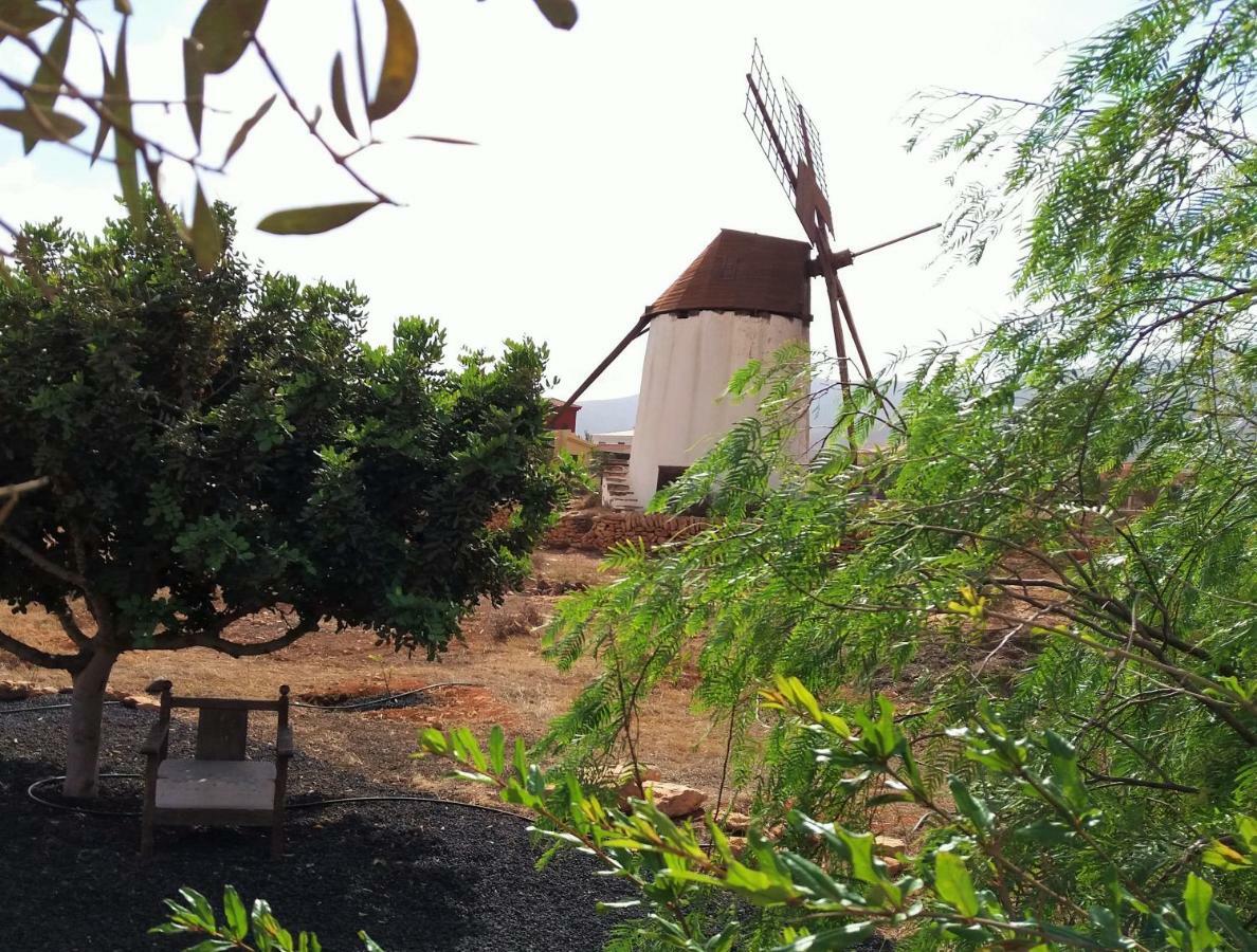 Casita Rural Molino De La Corte Antigua  Eksteriør billede